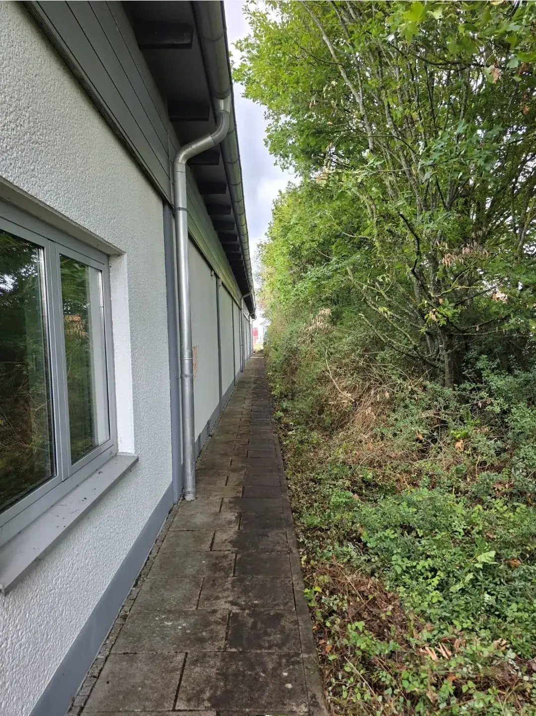 Freigeschnittener Grünstreifen an einer Gebäudewand