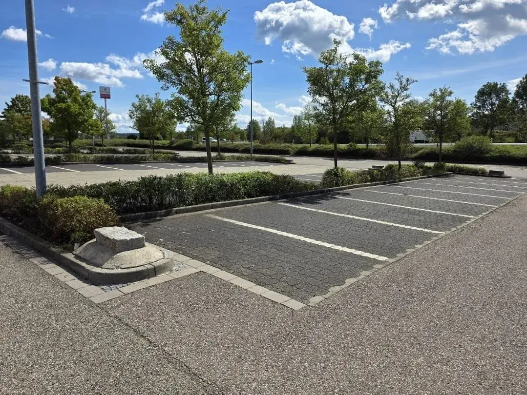 Zurückgeschnittene Grünfläche am Parkplatz