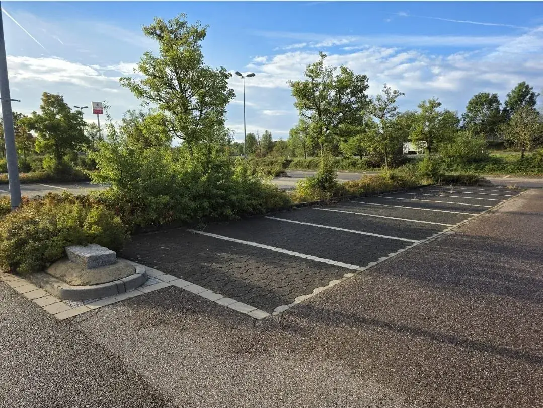 Zugewachsene Grünfläche am Parkplatz